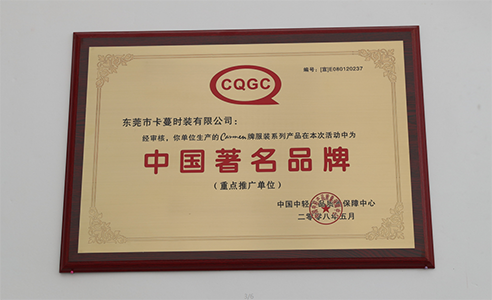 CARMEN.CHENG荣誉证书