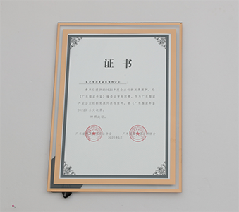 CARMEN.CHENG荣誉证书