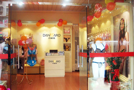 丹黛雅终端形象