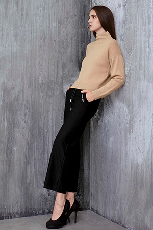 金菊秋冬产品展示