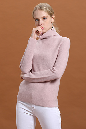 金菊秋冬产品展示