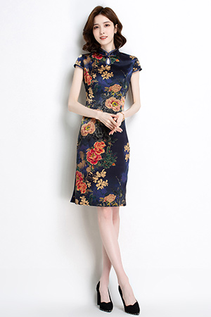 金菊春夏产品展示