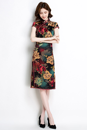 金菊春夏产品展示