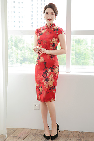 金菊春夏产品展示