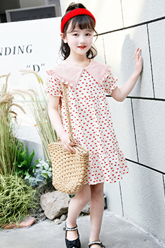 猫咪精灵产品展示