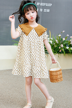 猫咪精灵产品展示