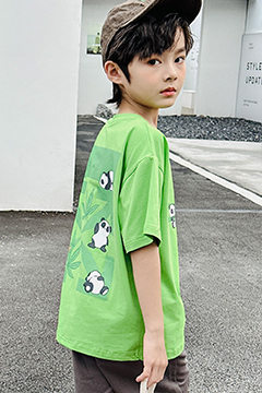 猫咪精灵产品展示