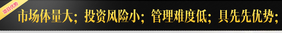 项目优势
