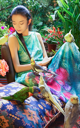 雀云裳产品展示