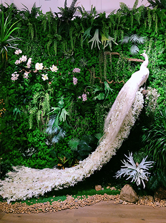 雀云裳店铺展示