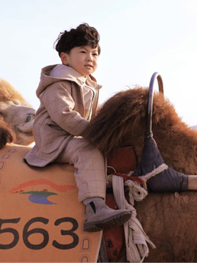 森虎儿产品展示