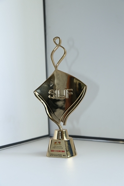 苏内之家荣誉证书