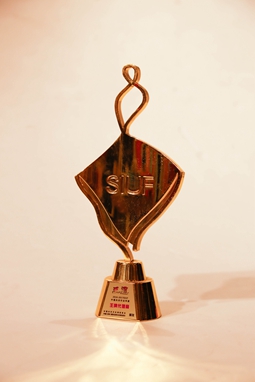 苏内之家荣誉证书