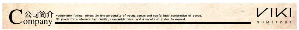 VIKI公司简介