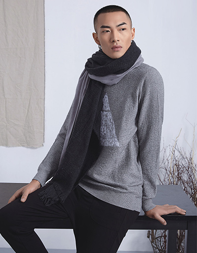 VOIR CHESS观译产品滚动图