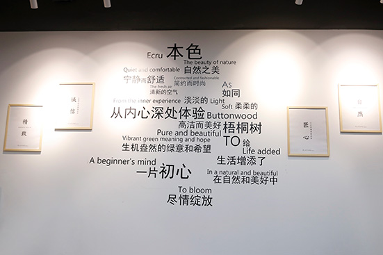 梧桐花开公司展示