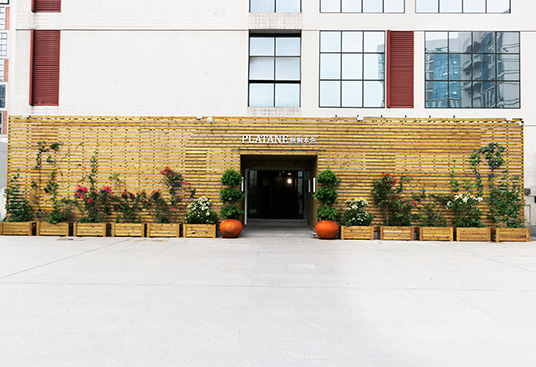 梧桐花开公司展示