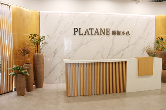 梧桐花开公司展示