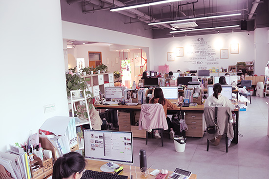 梧桐花开公司展示