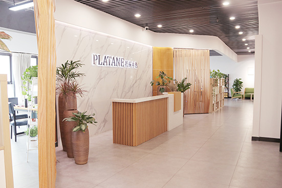 梧桐花开公司展示